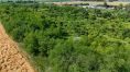 Grund mit Fläche 120.000 m2 und mehr -10 km vom Nitra, 20 km vom Šuran