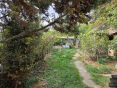 Kaufen Einfamilienhaus, Einfamilienhaus, Nitra, Slowakei